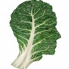Kale can change the world
