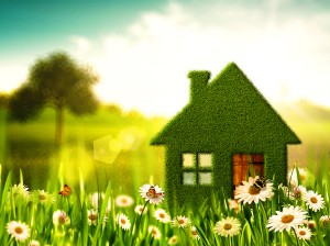 Cover photo for Health Begins at Home