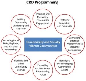 CRD Programming model