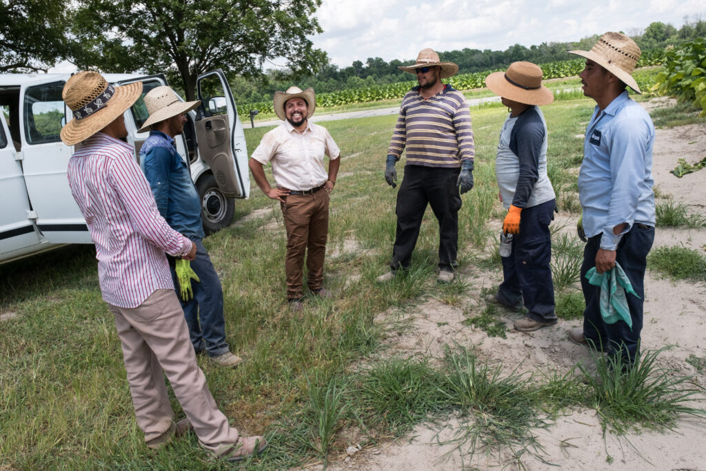 Farmworkers in wilson county